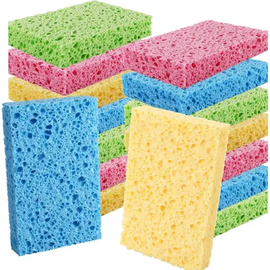 Sponge